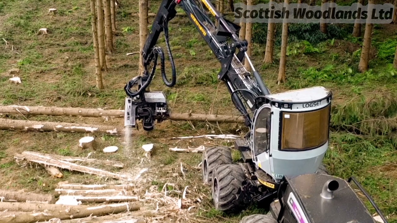 Scottish Woodlands Ltd ( Logset 8H timber harvester )