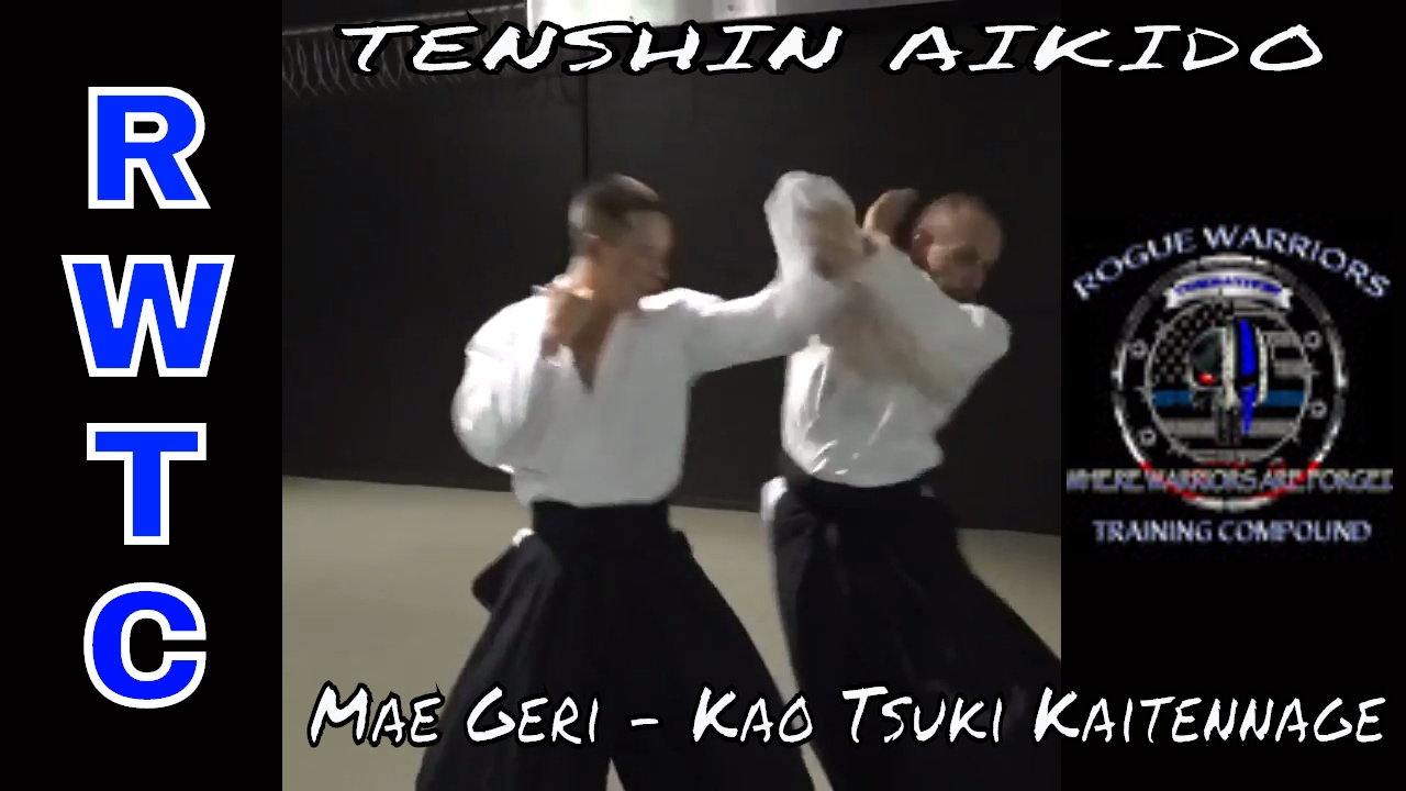 Aikido - defense against front kicks