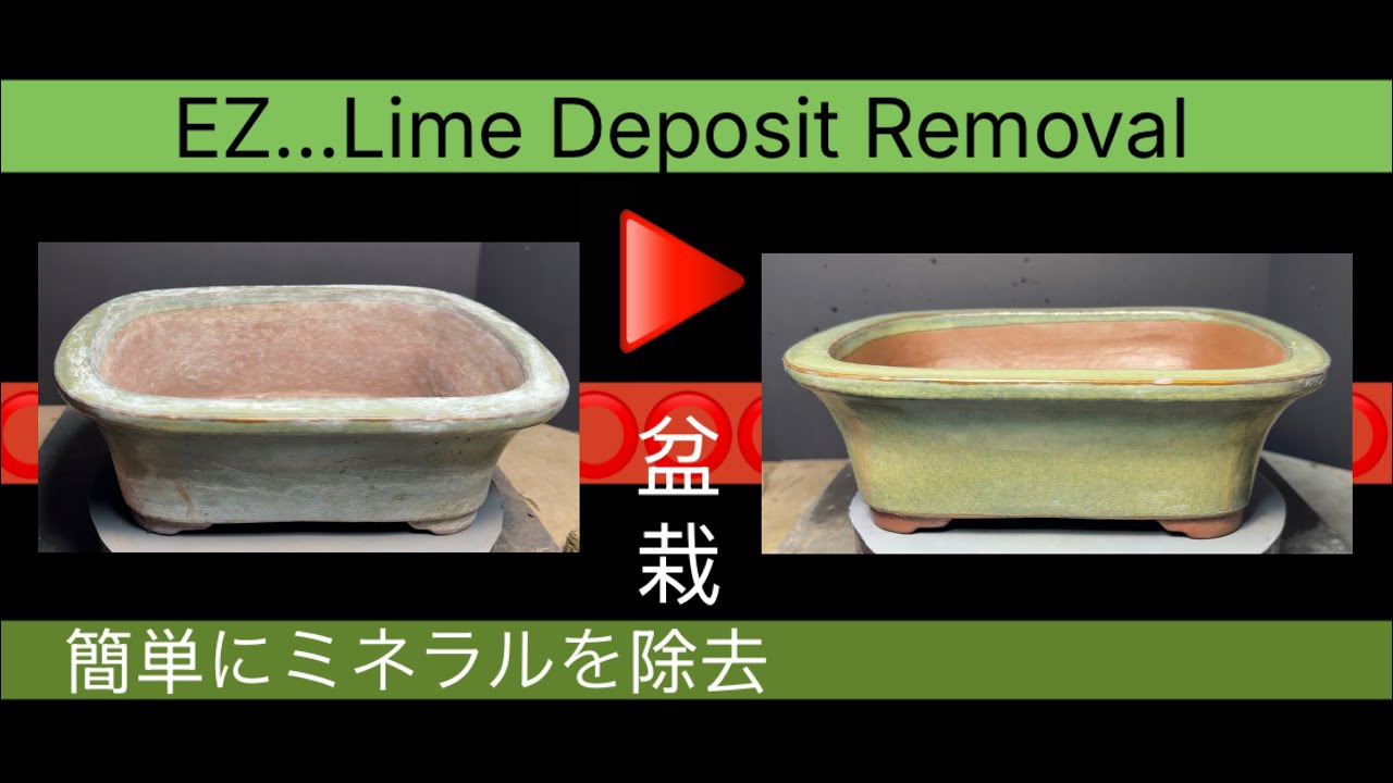 Easy Removal of Mineral Build Up on Bonsai Pots.