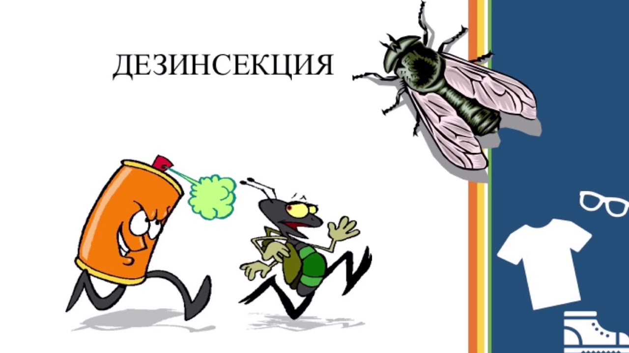 Дезинфекция, дезинсекция, дератизация. Матенова Н.М.