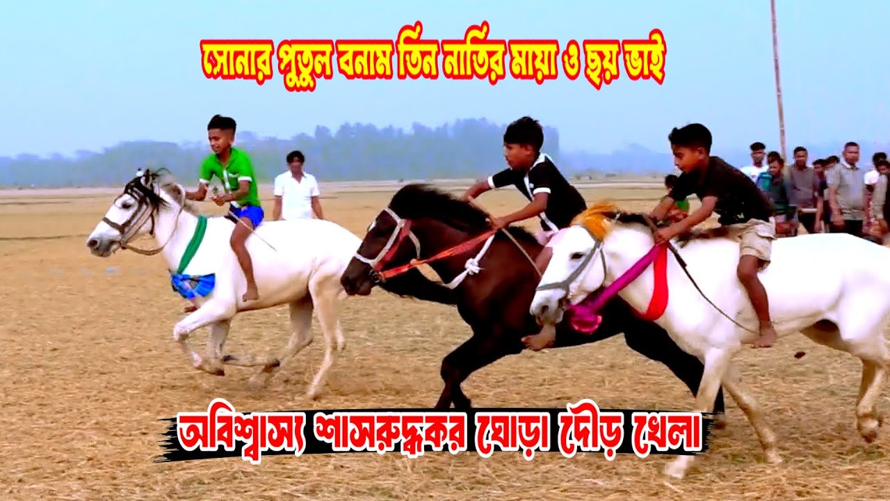 সুনামগঞ্জ সরিষা পাড়া মাঠে অবিশাস্য শাসরুদ্ধকর ফাইনাল ঘোড়া দৌড় খেলা