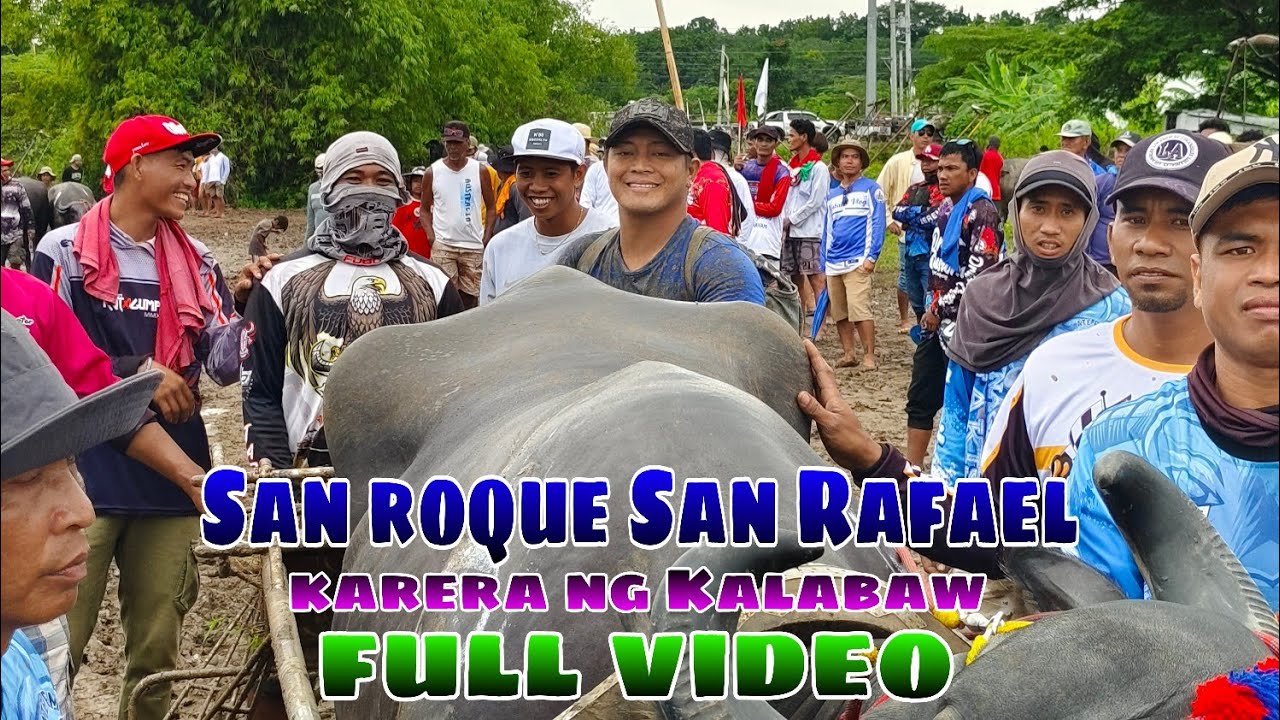 San roque san Rafael Karera ng kalabaw full video 