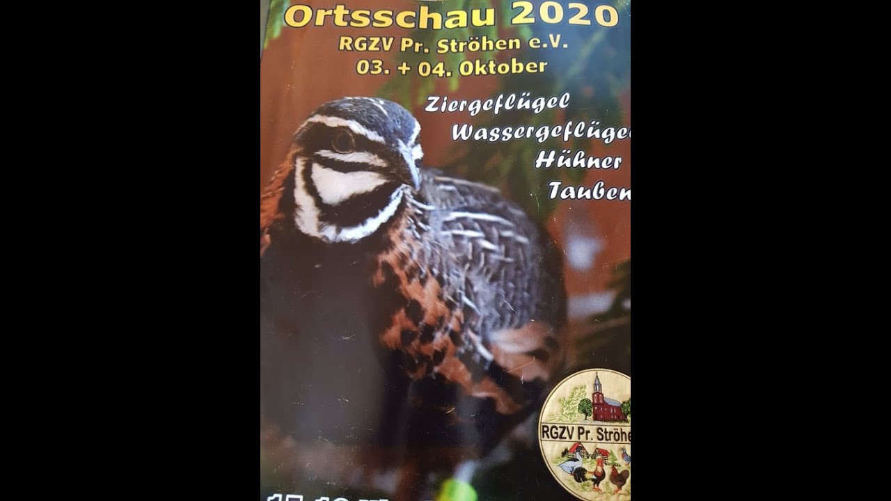 Ortsschau 2020 RGZV Preu&szlig;isch Str&ouml;hen 4k Video