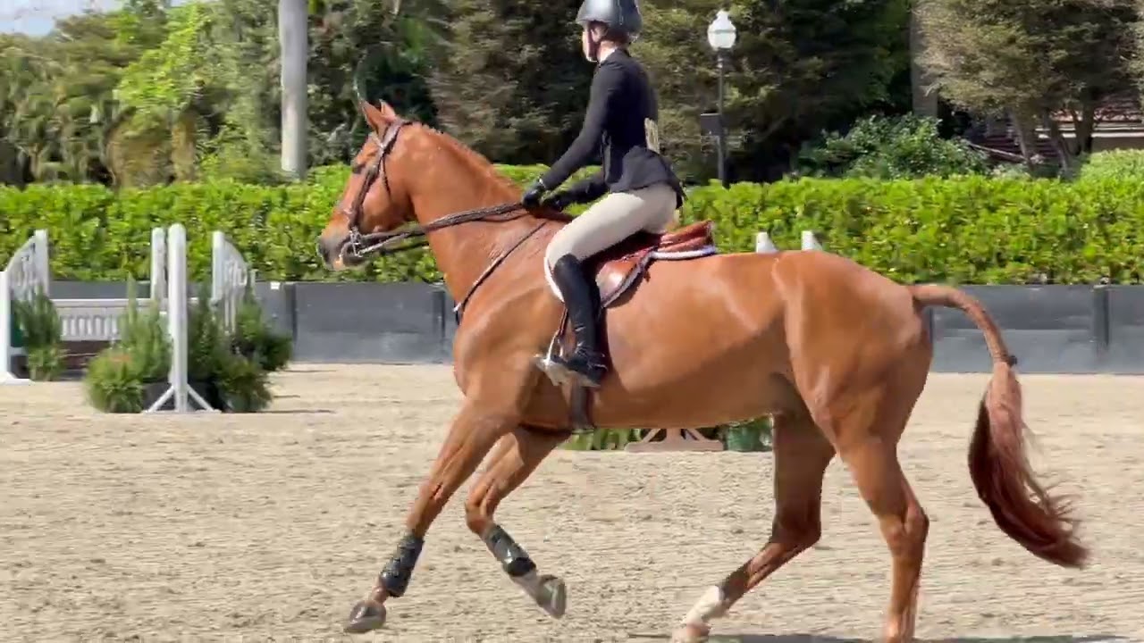 15 17 Equitation, WEF 9, Avery Hillhouse class of 2027