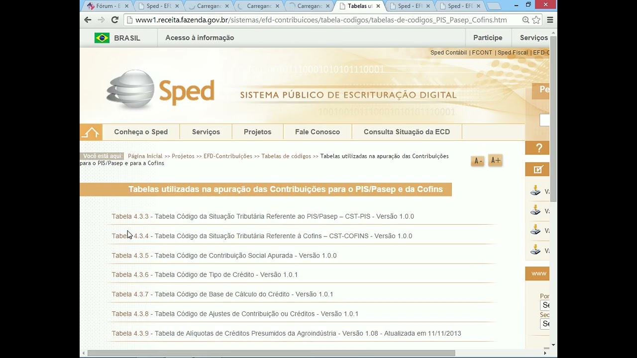 T2Ti ERP 2.0 - Delphi - EFD Contribuições - Videoaula 04 - Site