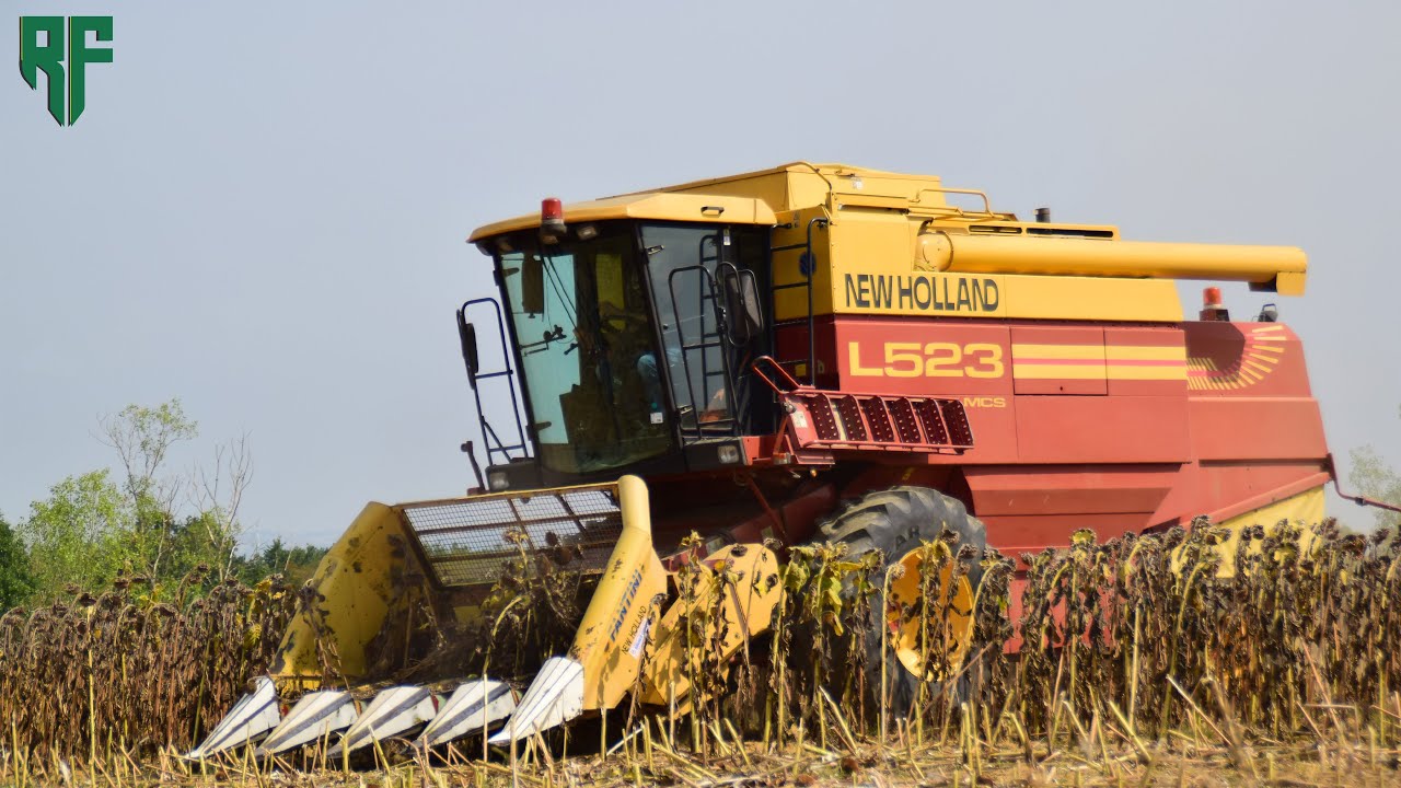 |New Holland L523 MCS & Fantini| Bottini| Trebbiatura Girasoli|