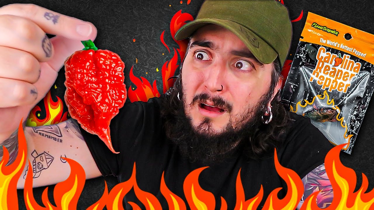 DESAFIO DA PIMENTA MAIS FORTE DO MUNDO 🌶️ CAROLINA REAPER (aguentei?)