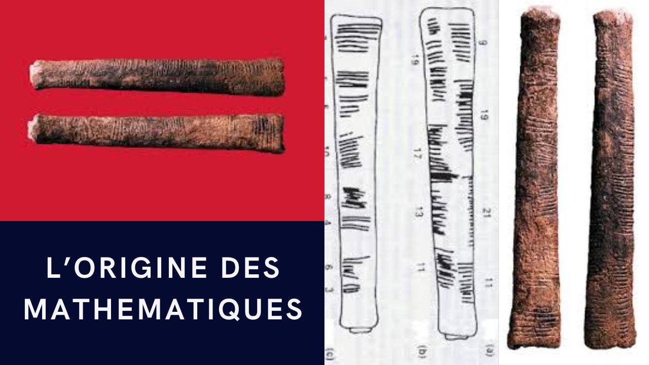 L' os d' Ishango: l'origine des math&eacute;matiques
