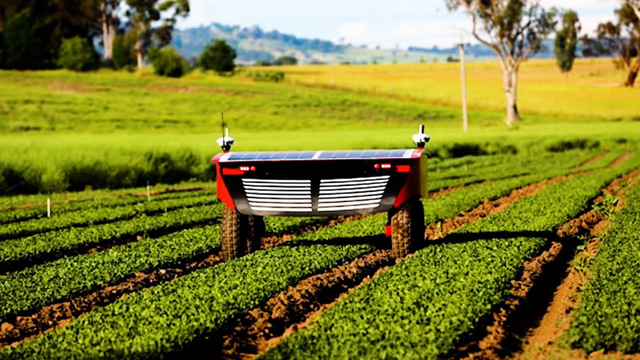 These Robots Make Farming More Sustainable