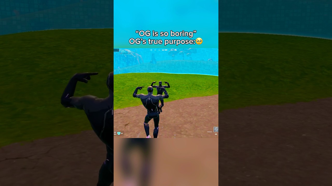 Another friendly purple lights omega🥹 #fortnite #fortniteclips #fortnitefunny