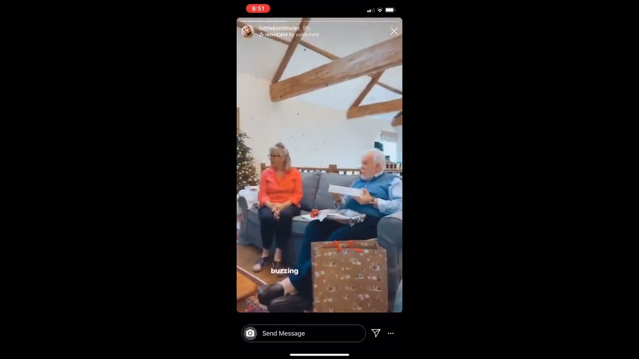 Louis Tomlinson’s voice and dogs in Lottie’s Instagram Stories