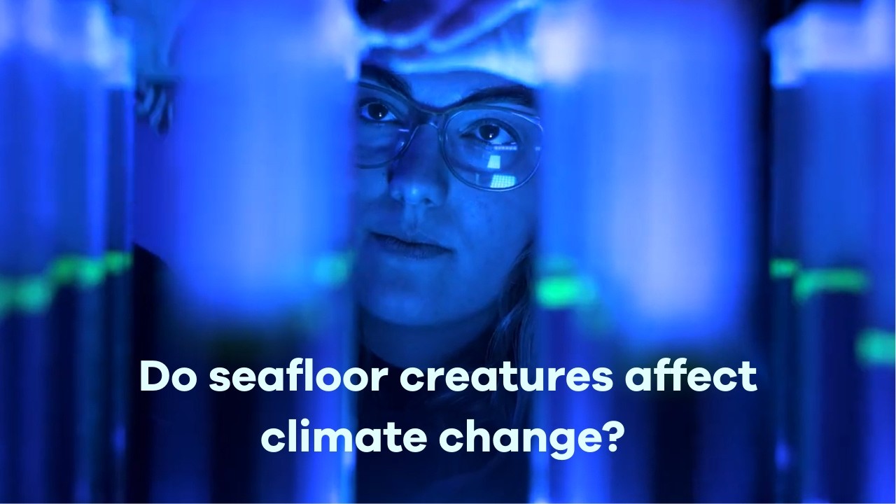 Do seafloor creatures affect climate change?