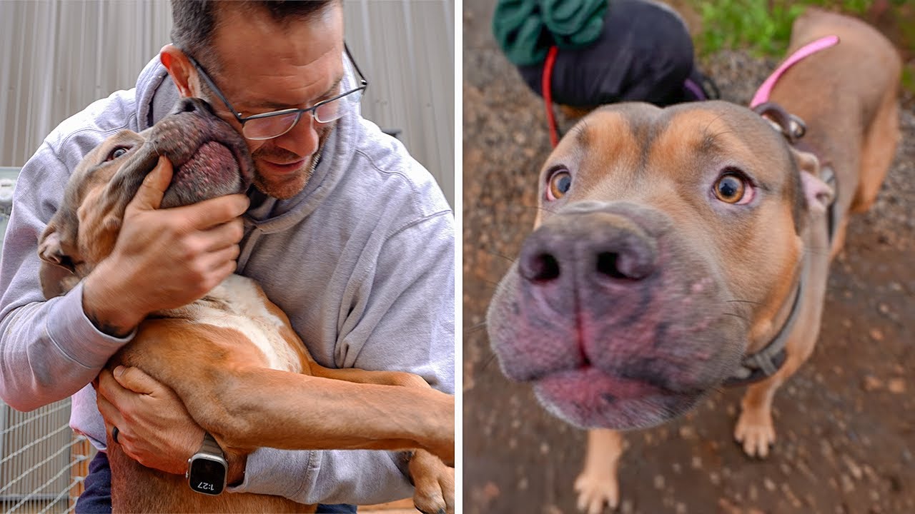 Peanut was caged for 16 hours a day, now he's free.