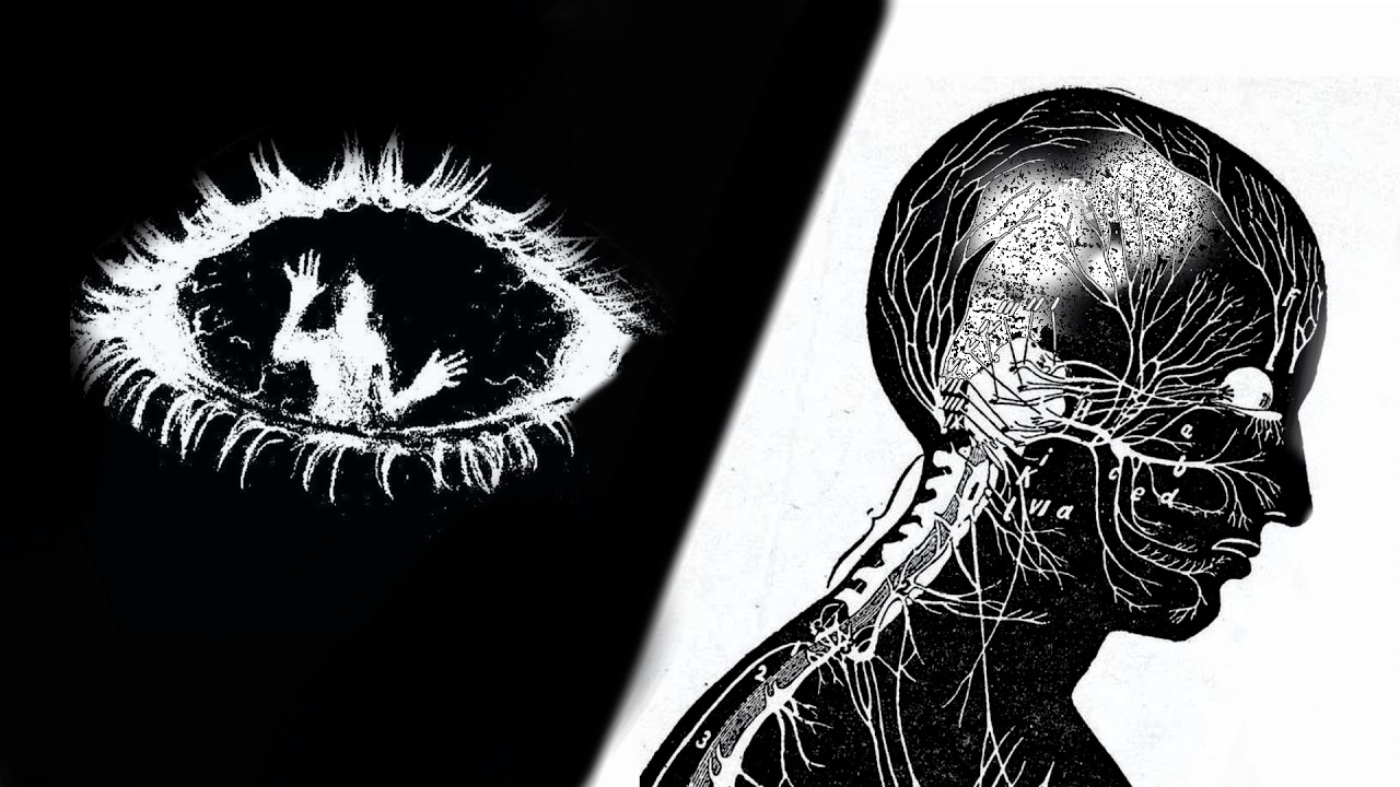 Existential Freedom Is a Biological Process You Keep Avoiding