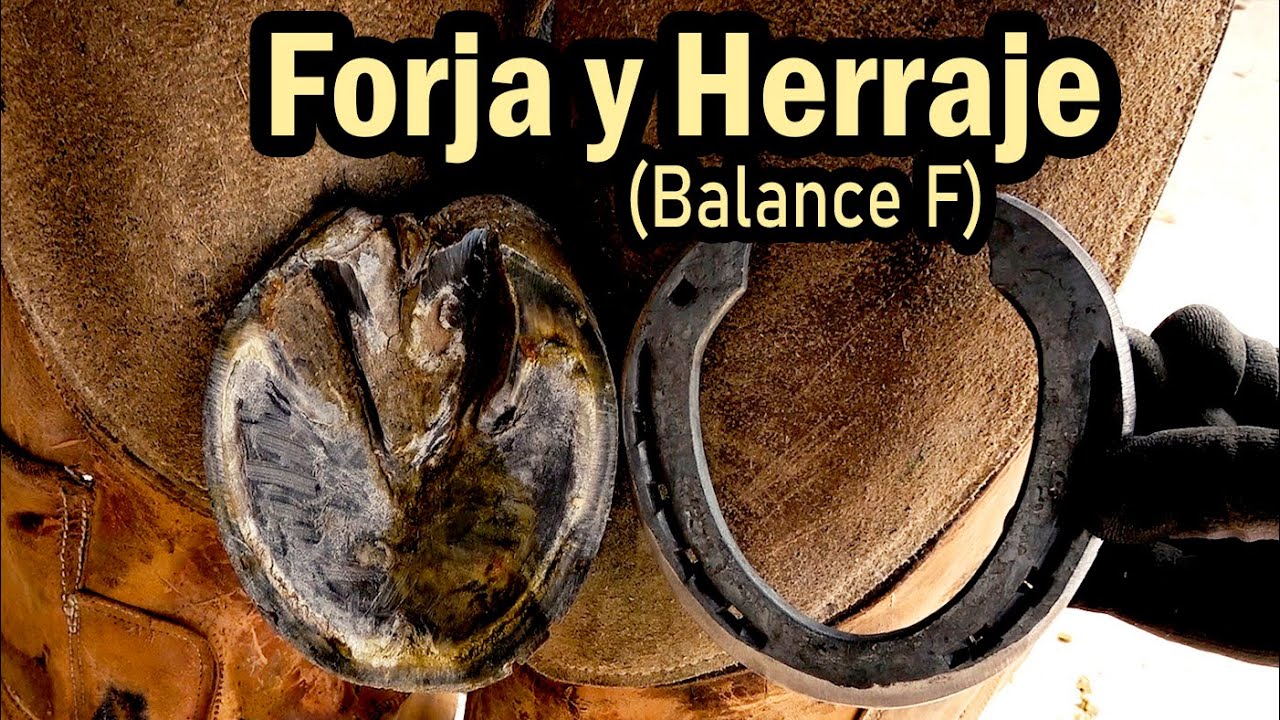 Principios Basicos para Herrar un Caballo parte 2 - Forjar Herradura y Poner en Casco