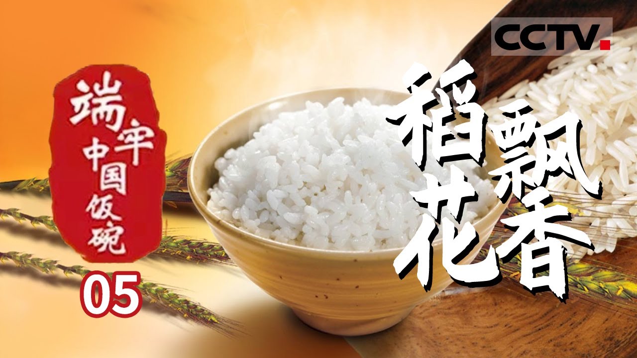 《端牢中国饭碗》第5集 尽管一年只种植一季稻 但中国人每吃8碗饭就有1碗来自这里 这里就是产粮大省黑龙江​——稻花飘香【CCTV纪录】