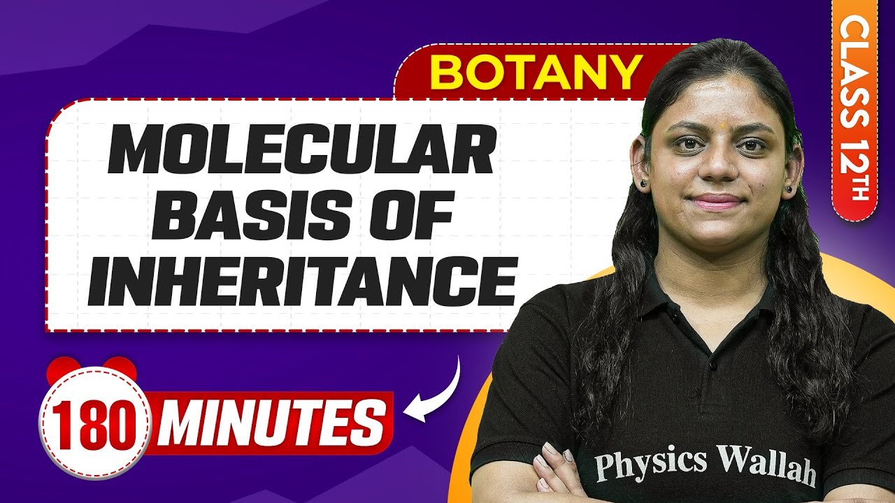 Molecular Basis of Inheritance in 180 Minutes | Class 12th Botany | Mind Map Series