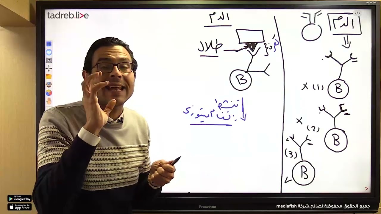 المناعة في الانسان ( خط الدفاع الثالث )
