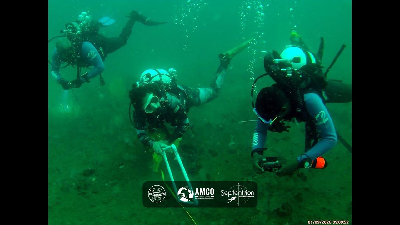 Scientific Diving in Cameroon