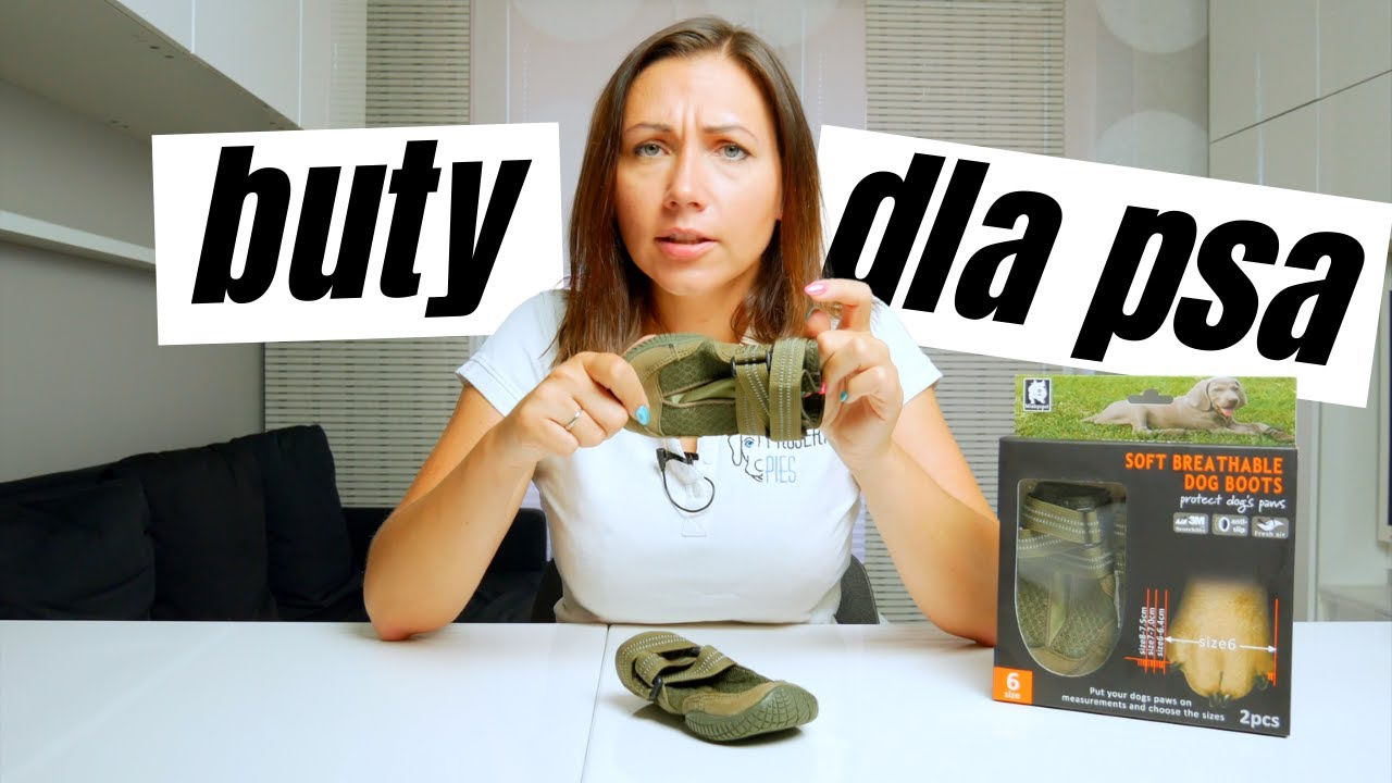 Testujemy buty dla psa