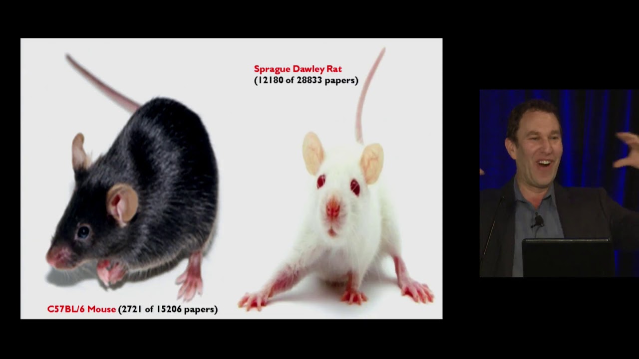 Dr. Jeffrey Mogil - Pain In Mice and Men: Ironic Adventures In Translation