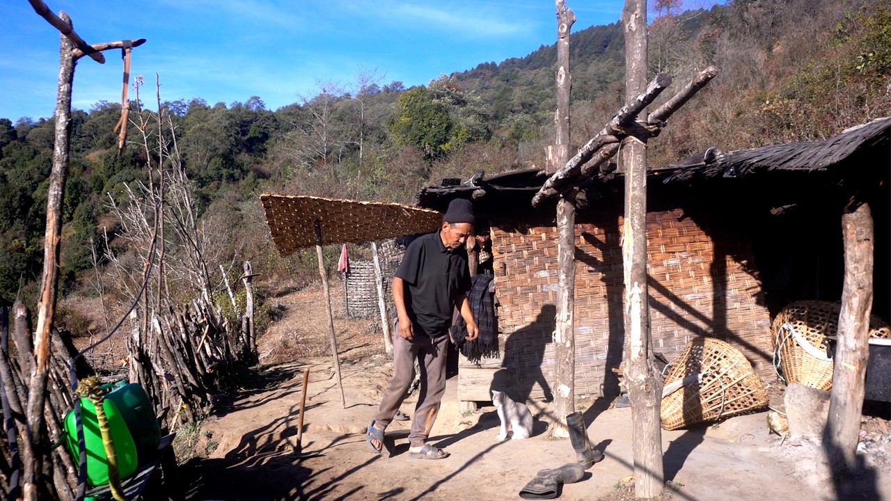 jungle man in his hut in the jungle || jungle family cooking || @junglefamilycooking