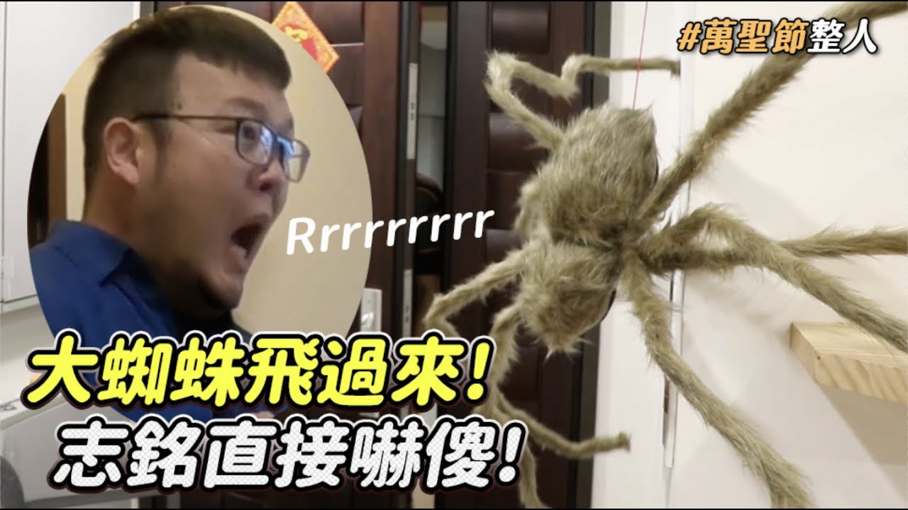 【大蜘蛛飛過來！志銘直接嚇傻！】志銘與狸貓