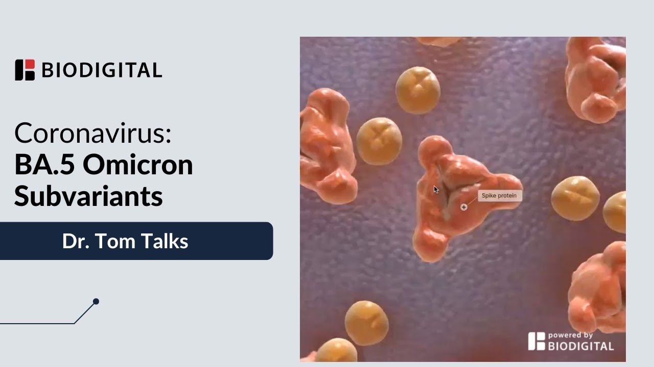 What is the BA.5 Omicron Subvariant? -Dr. Tom Talks