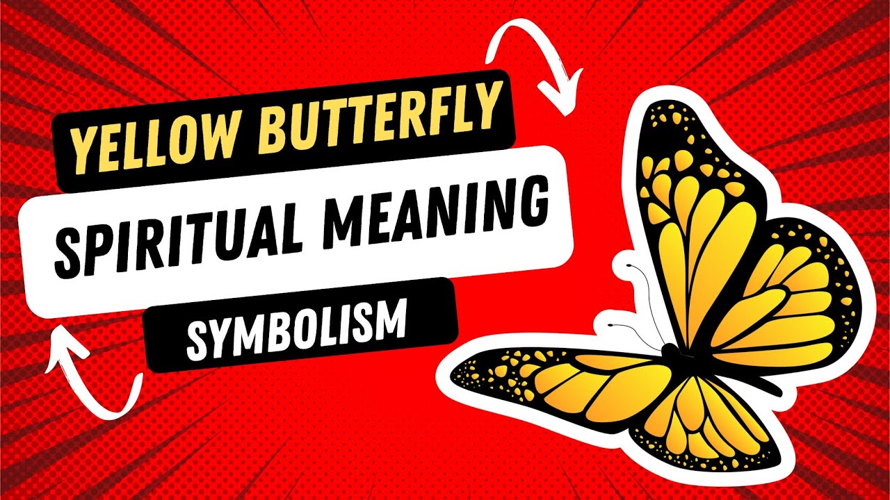 Yellow Butterfly Meaning: Unveil the Symbolism & Spiritual Significance!