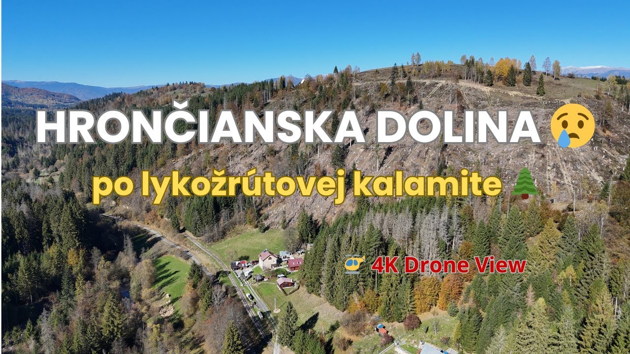 👉Hrončianska dolina po kalamite 🌲 | Hrončianska Valley after Bark Beetle Calamity (4K Drone)