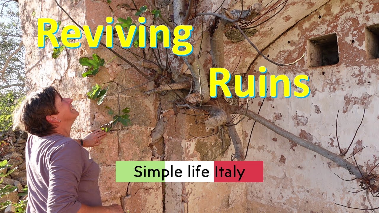 From crumbling to charming – the vision for renovating a hidden historic gem in Puglia #ITALY LIFE