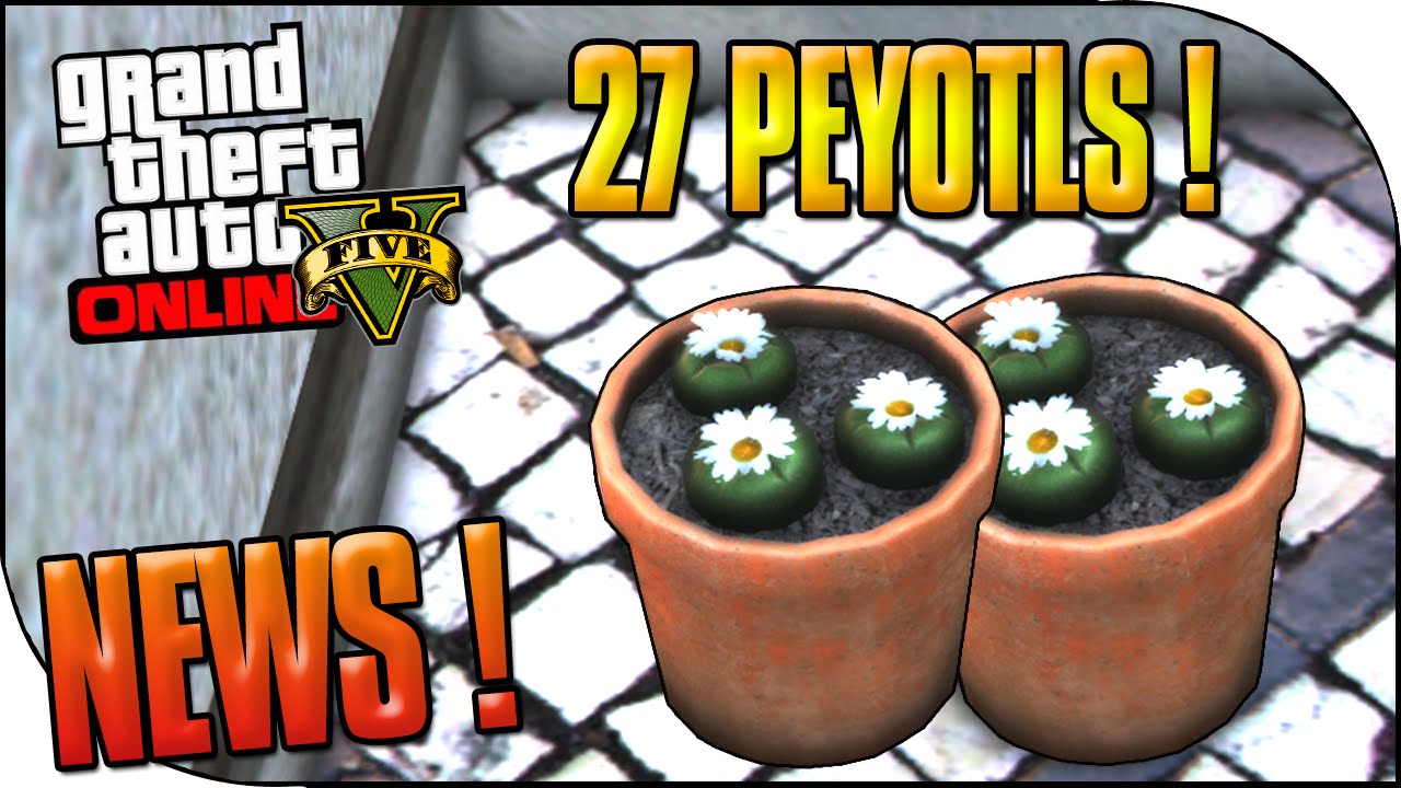LOCALISATIONS DES 27 PEYOTLS ! GTA 5 EASTER EGG
