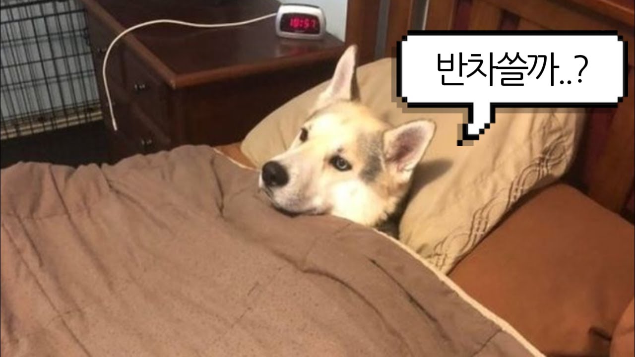 𝐏𝐥𝐚𝐲𝐥𝐢𝐬𝐭 아 잠깐만 몇ㅅ..... 출근 안하면 앙대여...?😭