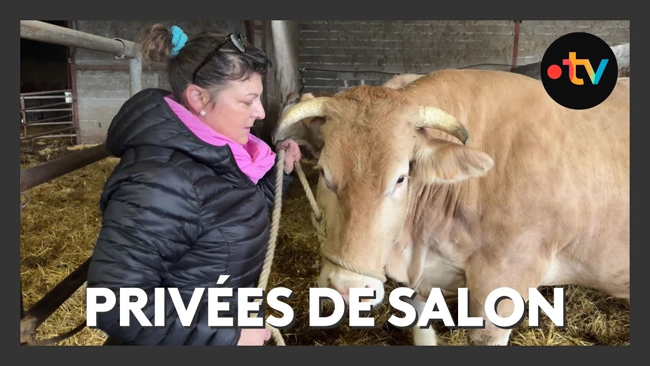 Dermatose nodulaire : un Salon de l’agriculture sans vaches