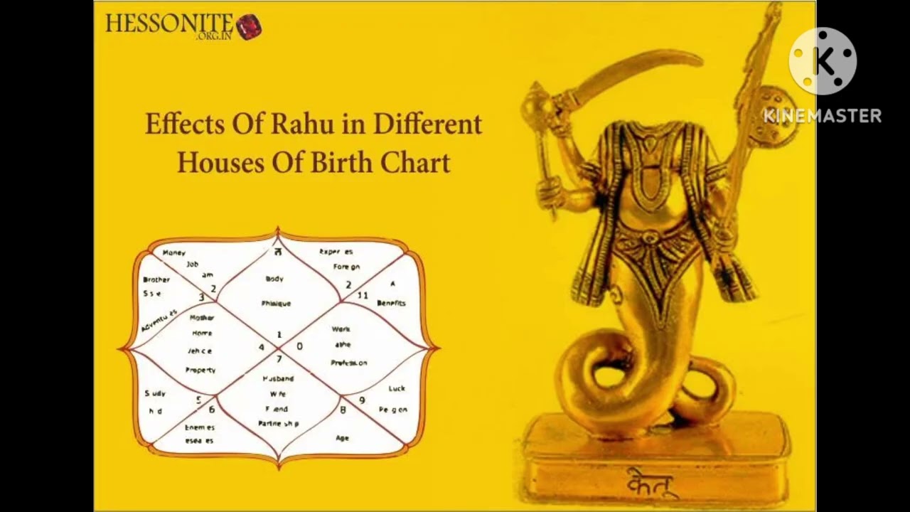 Basics of astrology/ #lal kitab  rahu in all houses