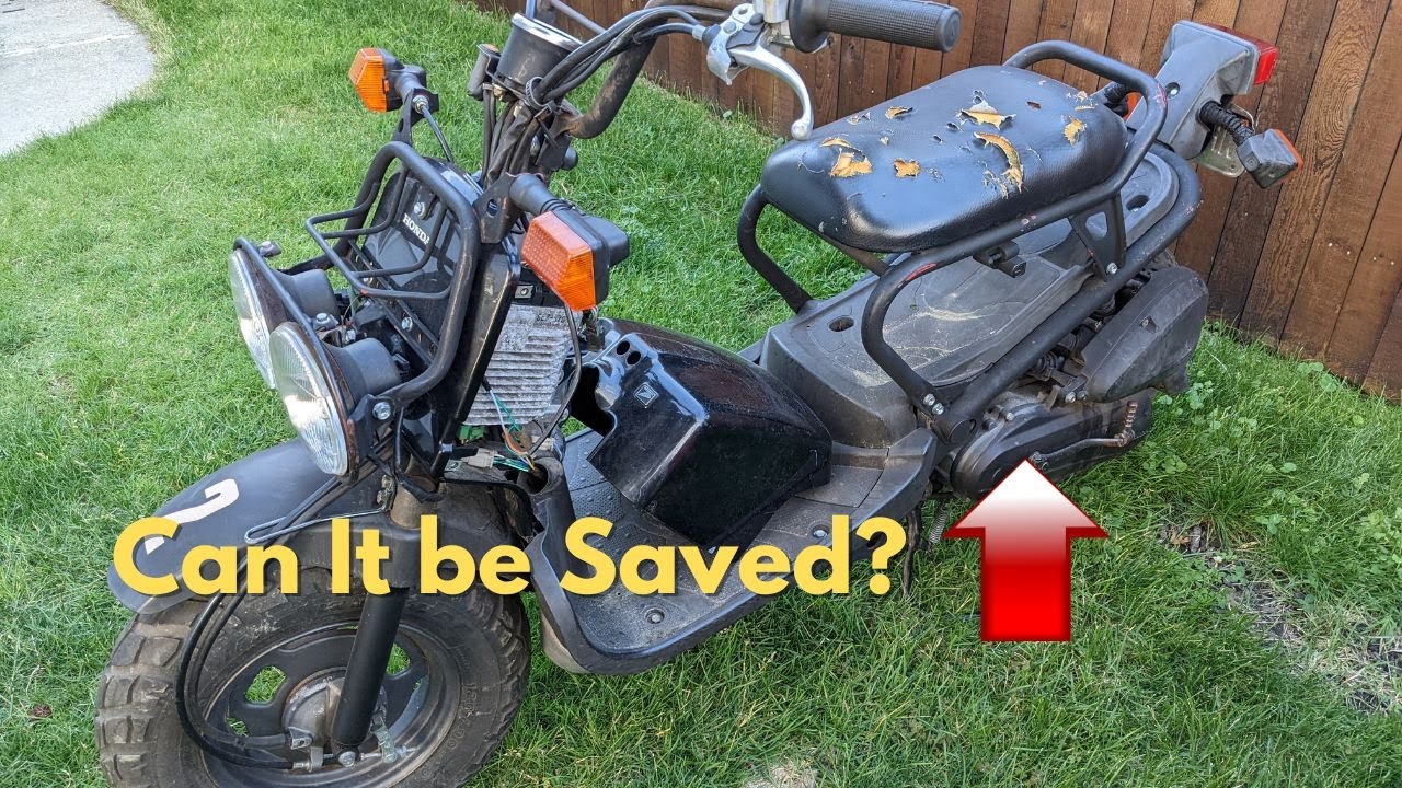 Resurrecting an Honda Ruckus Will it Start.
