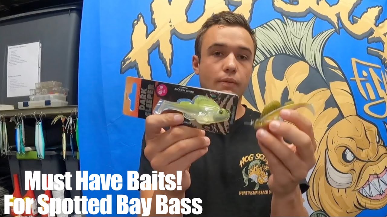 The MUST HAVE BAITS & TACKLE for fishing Spotted bay bass (Tackle tips)