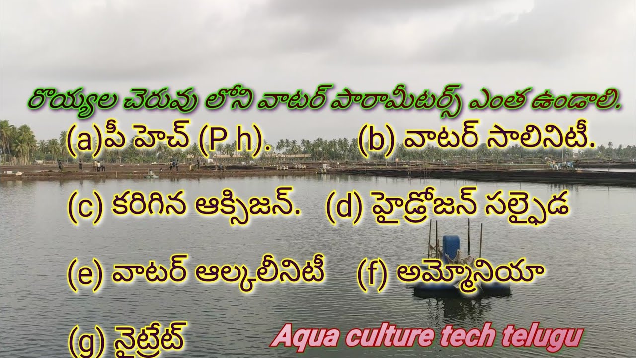 vannamei shrimp pond Water parameters| రొయ్యల చెరువులో నీటి పారామీటర్స్