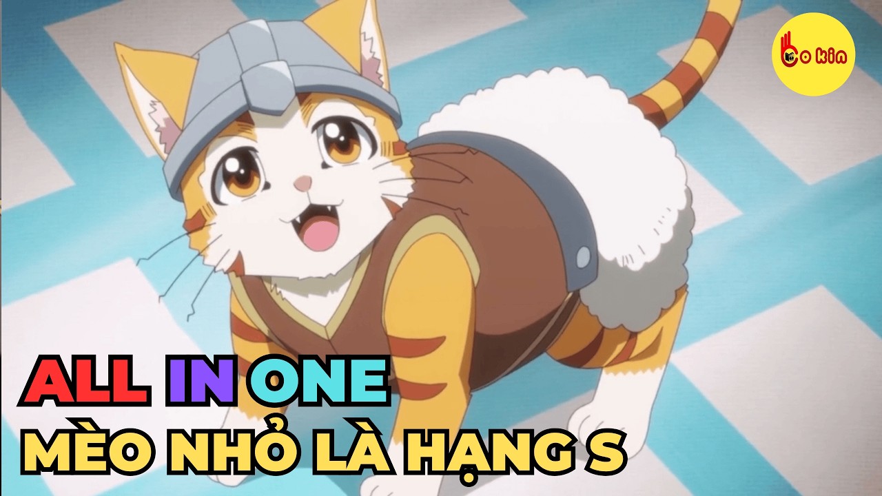 ALL IN ONE | Hạng S Thần Thoại Bị Nhầm Là Mèo | Review Anime Hay