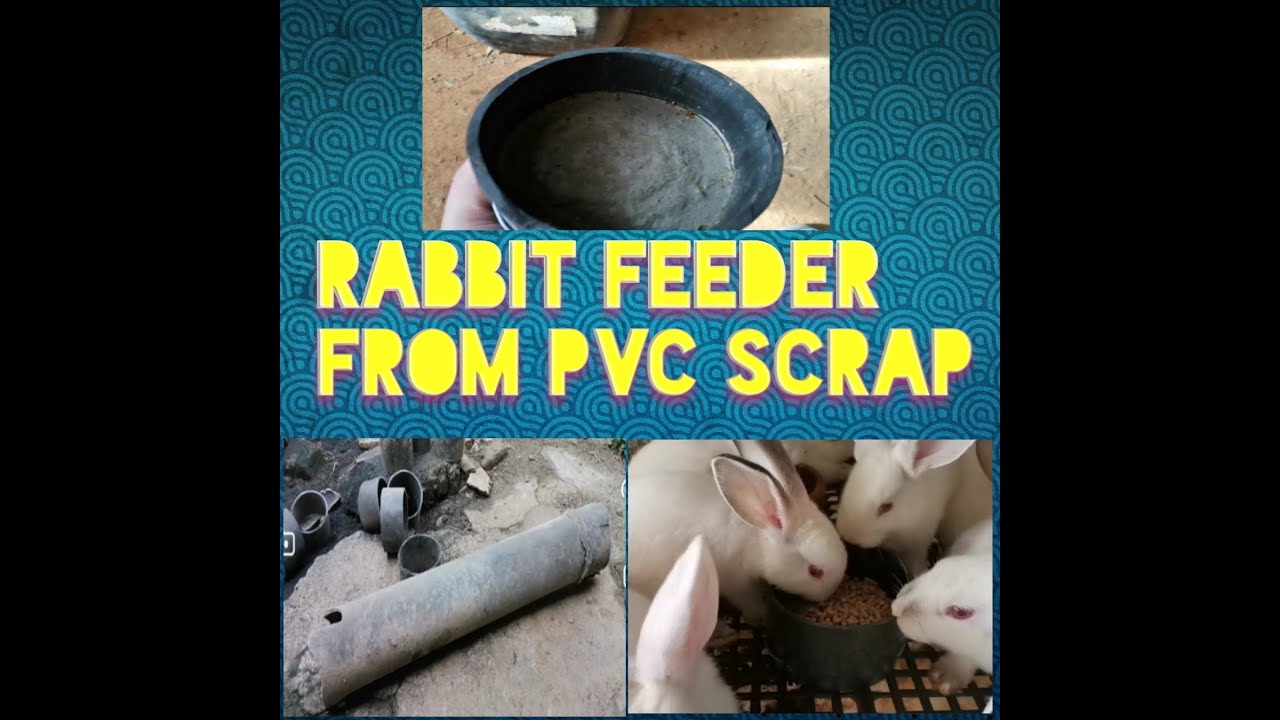 rabbit feeder from pvc pipe scrap