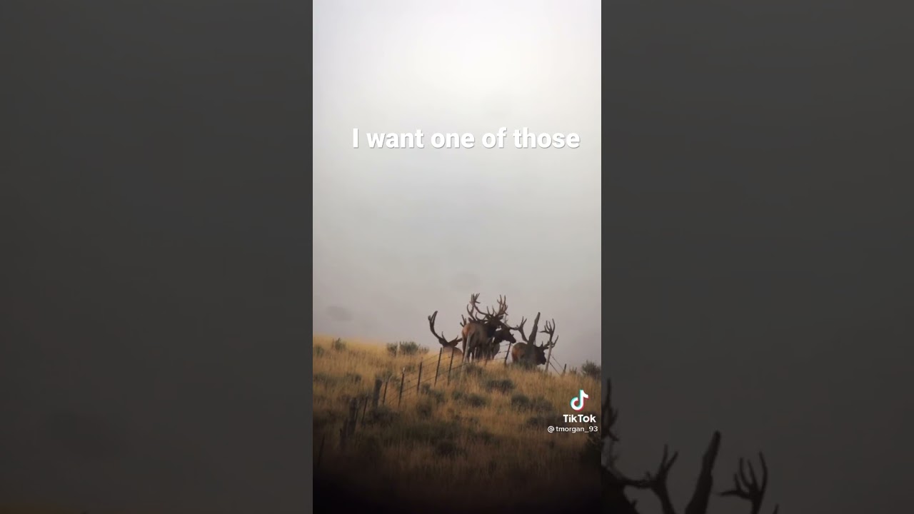 #hunting