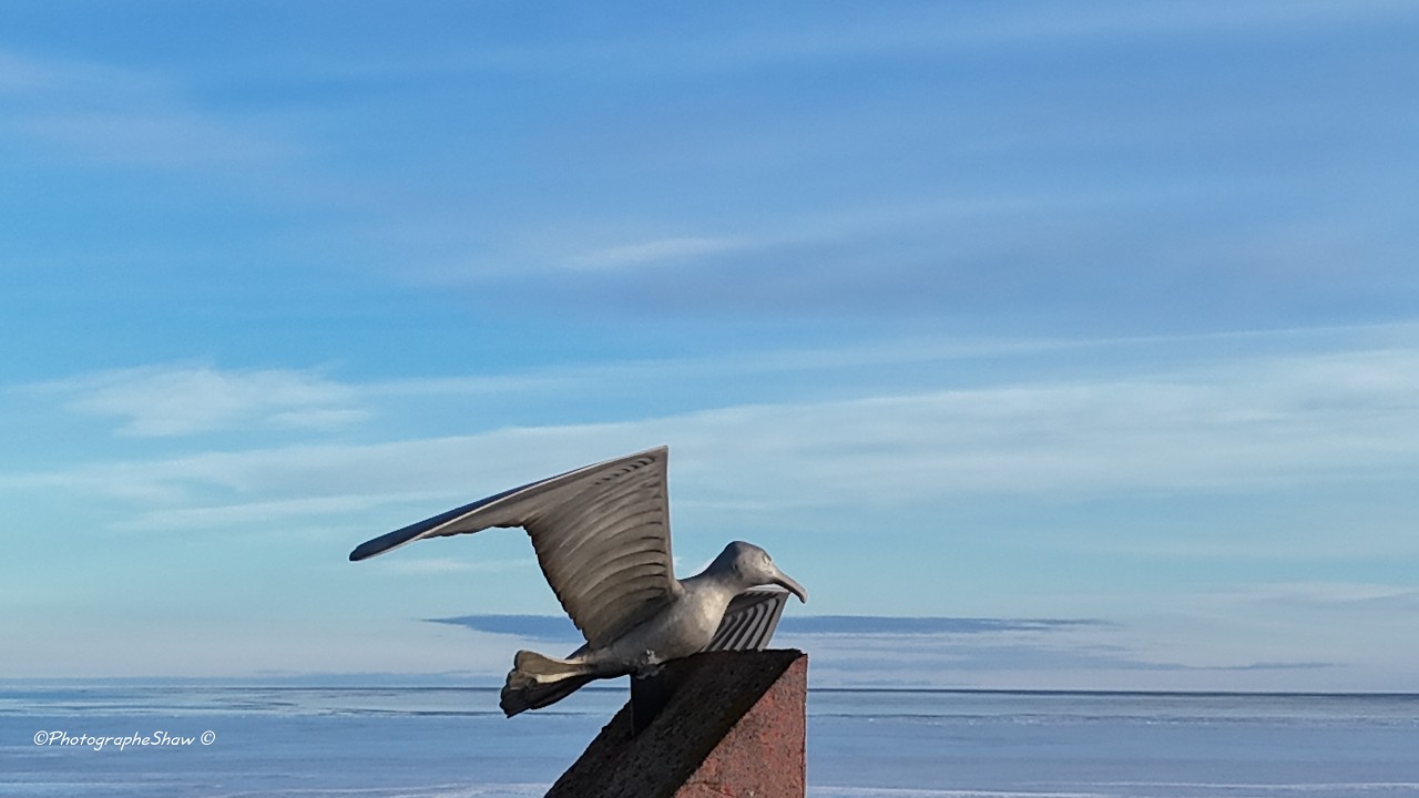 Plage aux Goélands Maria Gaspésie Quebec Canada 🍁 2026