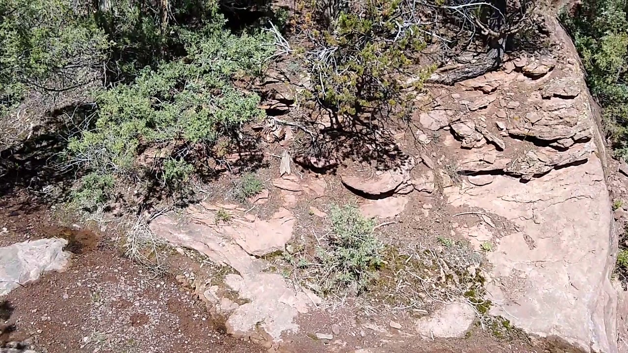 Badger Creek View From Above