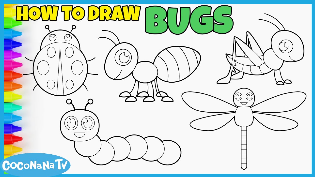 BUGS COMPILATION - How to Draw and Color for Kids - CoconanaTV