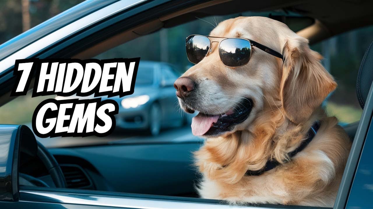 7 Lesser Known Tips Every Pet Owner Should Know