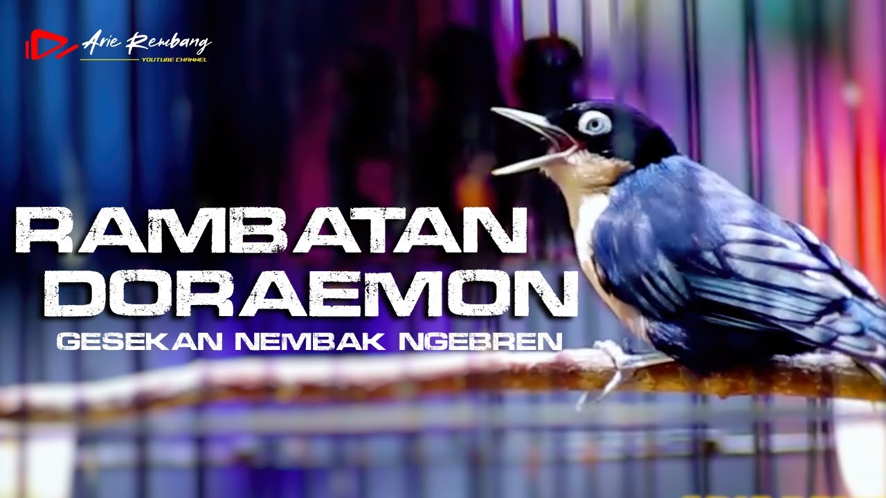 RAMBATAN DORAEMON GACOR FUL MATERI GESEKAN NGEBREN