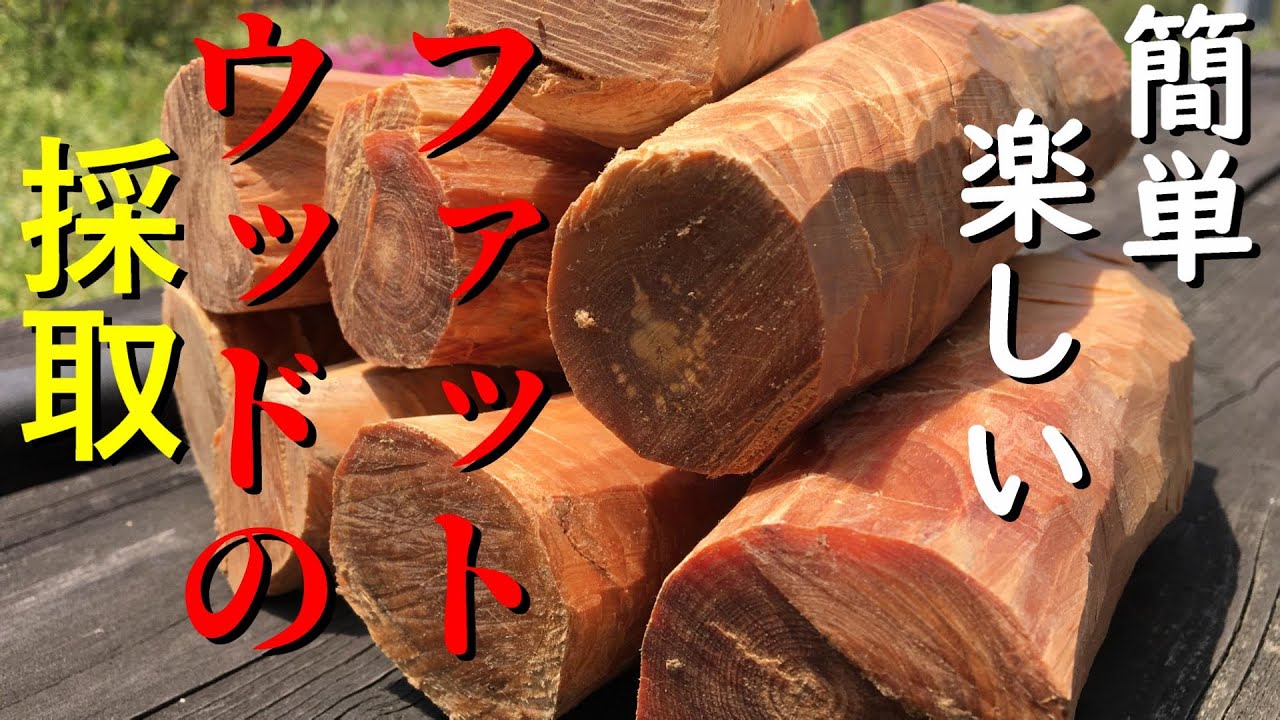 簡単ファットウッドの採取　見たらわかる切り出しと削りだし