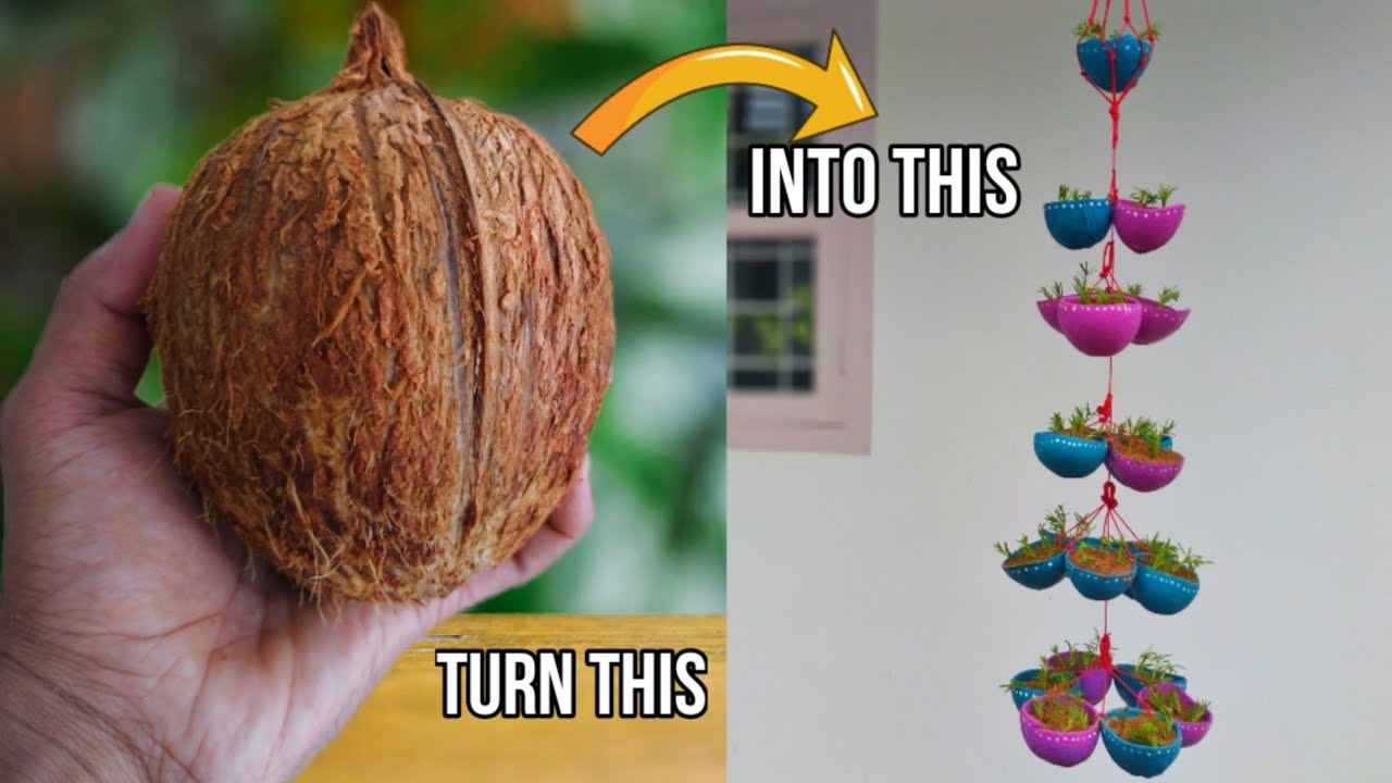 How to make hanging pots using coconut shell | Gardening ideas| Hanging plants ideas
