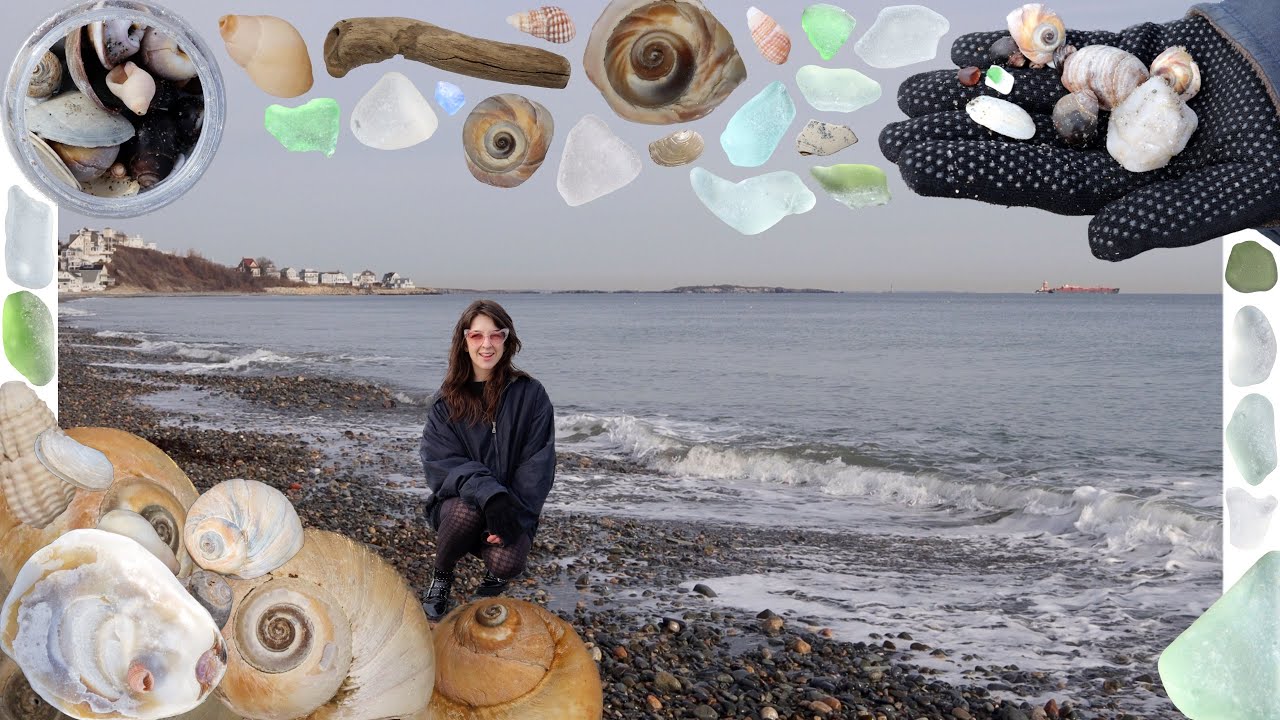 Moon Snail Shells in the Morning [Sea Glass Hunting | Shelling | Beachcombing Beach Glass & Shells]