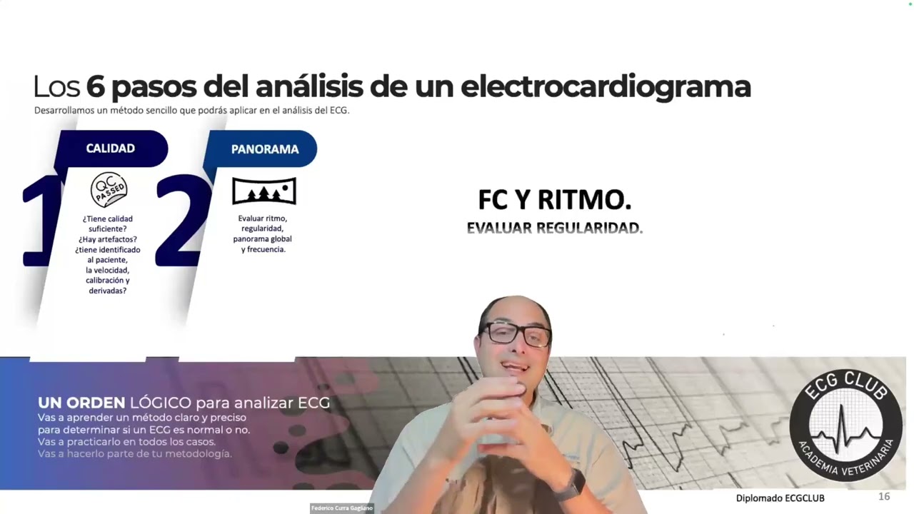 Masterclass ECG veterinario 🐶🐱 | Aprendé a leer un electrocardiograma en 6 pasos simples ECGCLUB